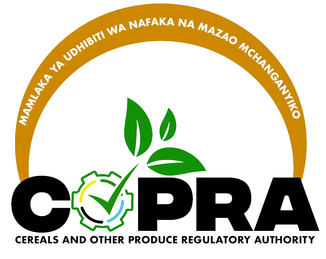 logo-3