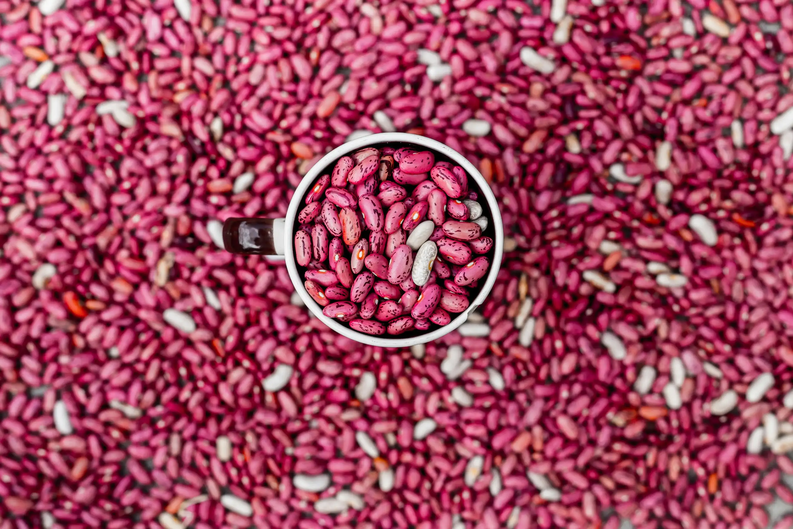 Premium Raw Cashew Nuts